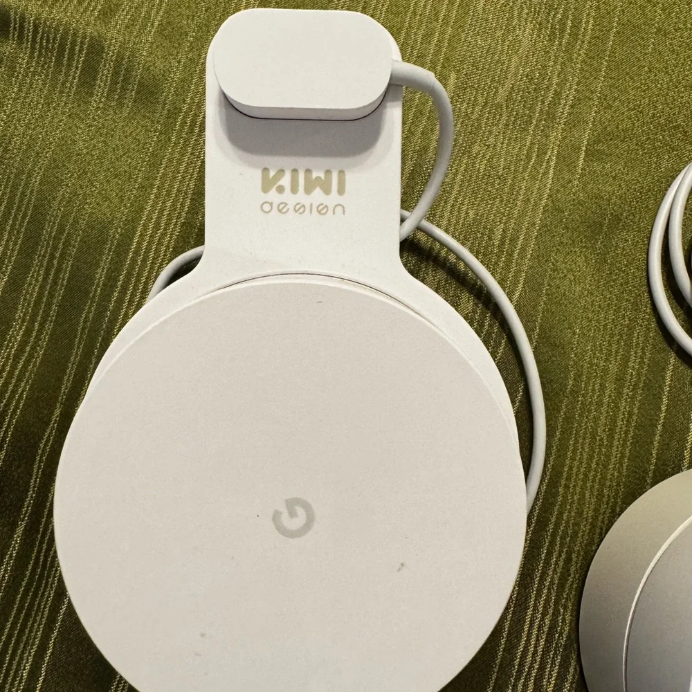 Google Mesh Network System in White